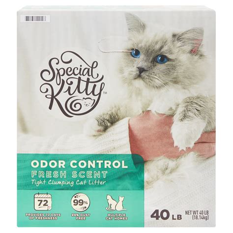 best odor control kitty litter|cat litter reviews odor control.